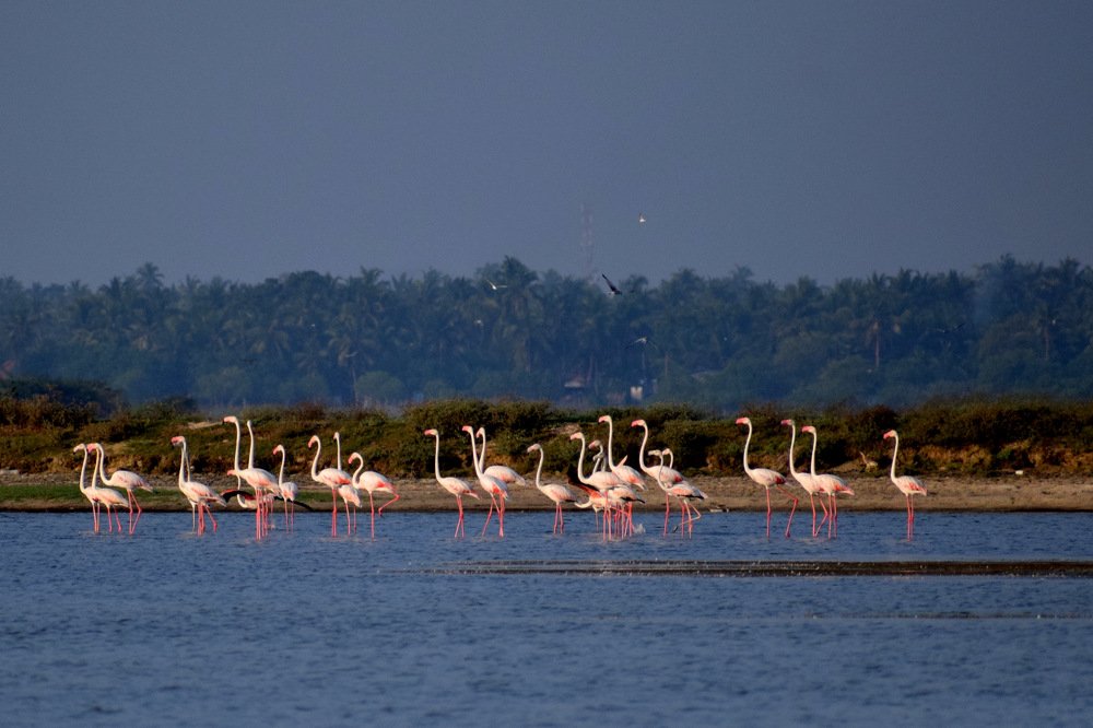 Photograph by Suyothami