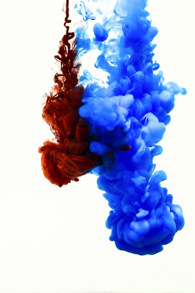 Photograph by Kennard Henli Wijaya