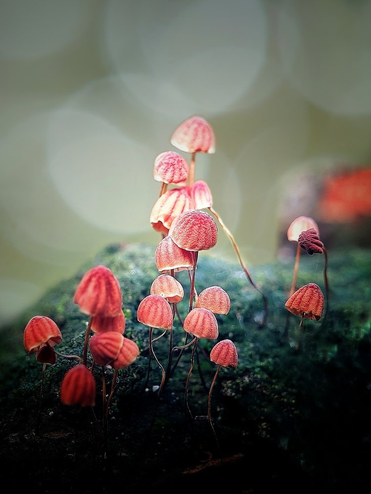 Photograph by Tuấn Bùi Quý