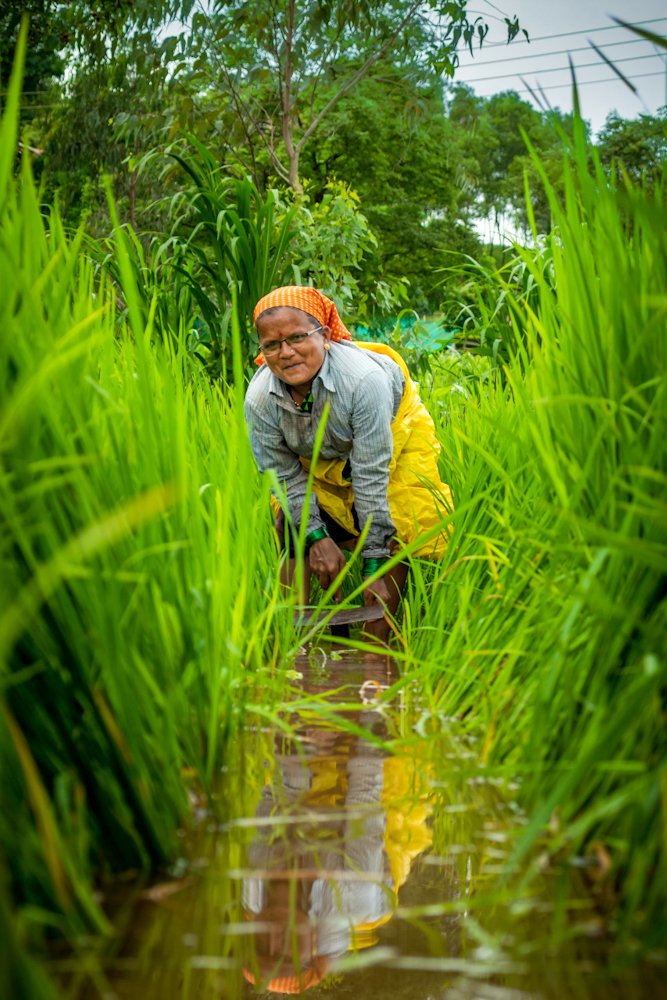 Photograph by Datta Pharande