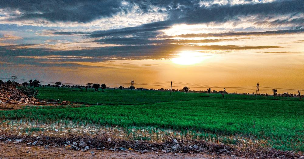 Photograph by M.Yaqoob Khokhar