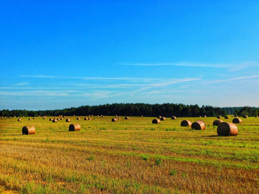Photograph by Олеся Бронзова