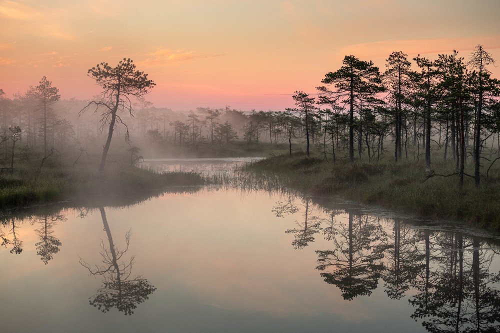 Photograph by Danil Husainov