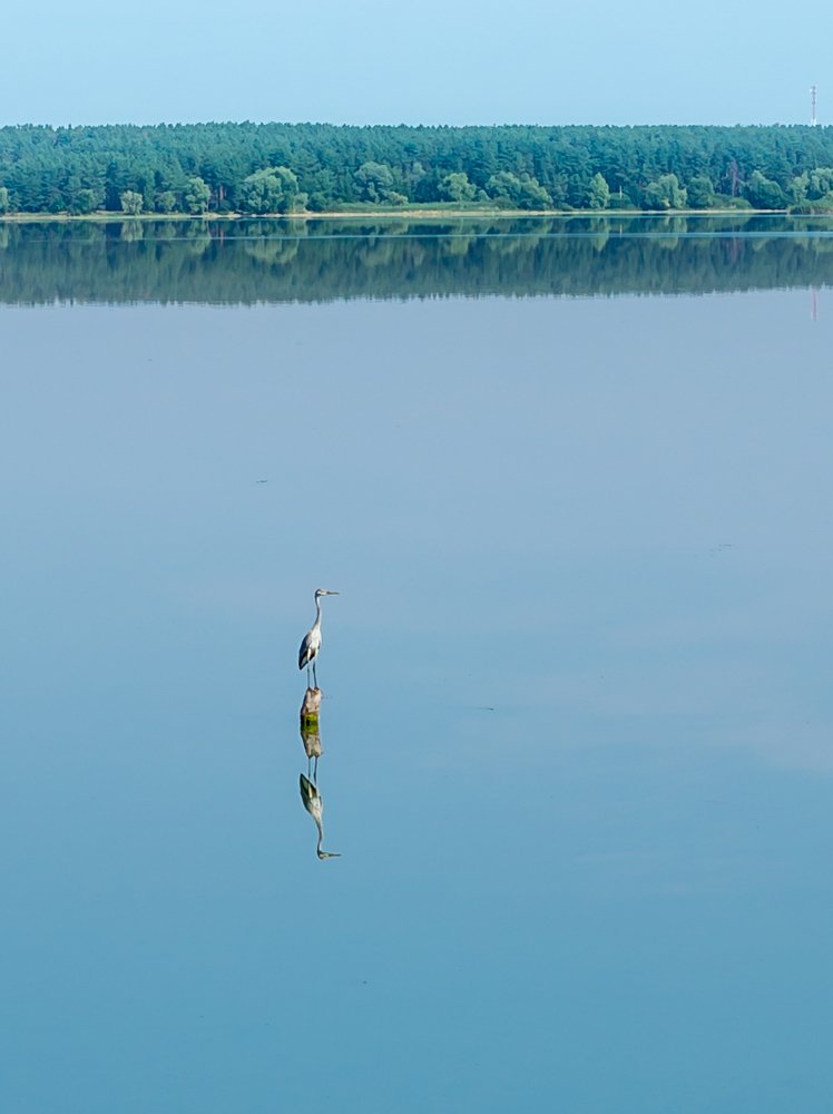 Photograph by Евгения Бочарова