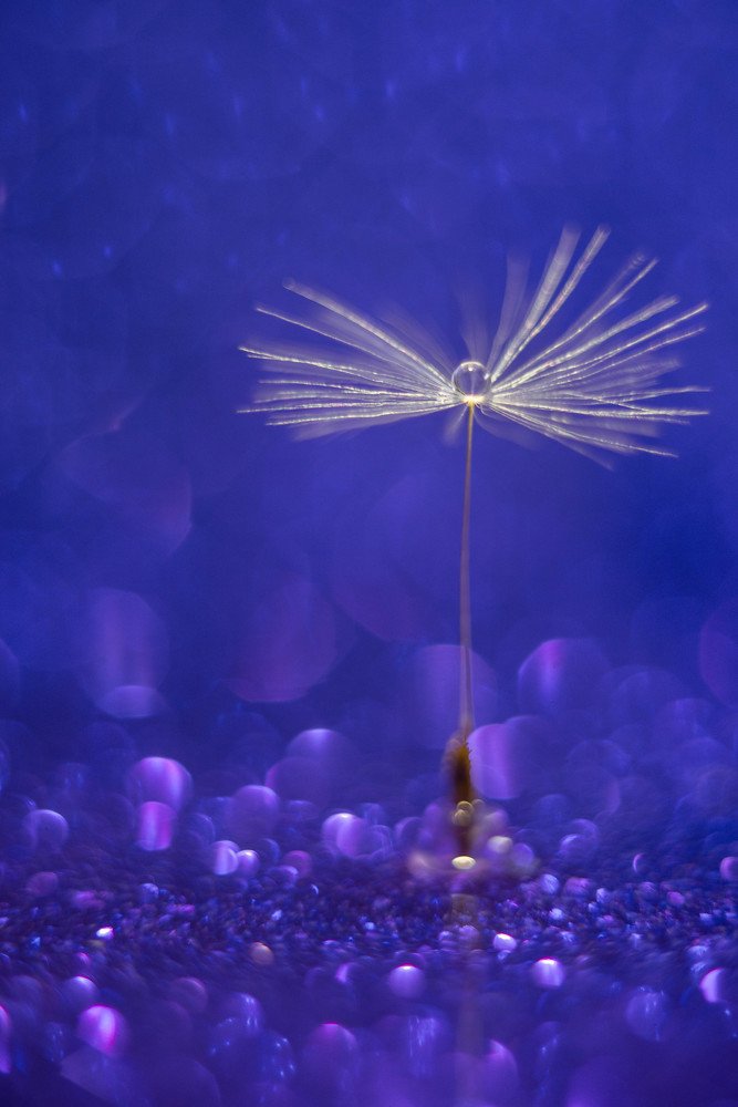 Photograph by Олеся