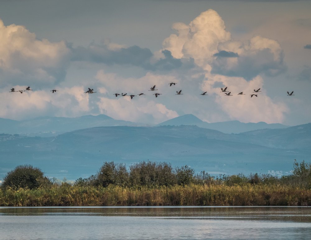 Photograph by Михаил Заброцкий