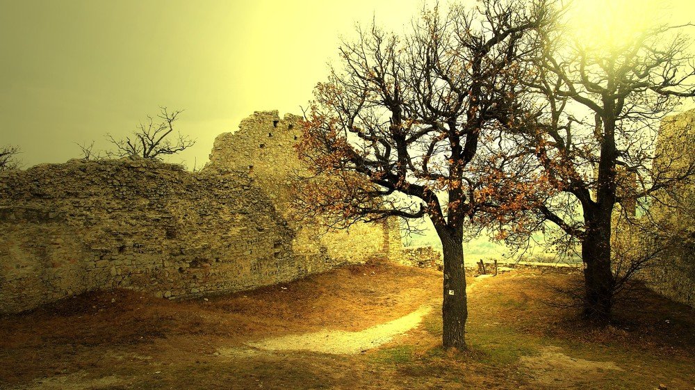 Photograph by Attila Oláh