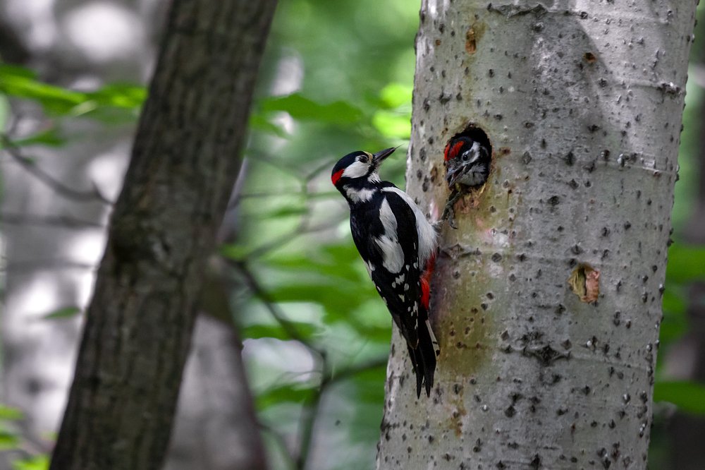 Photograph by Марат Кучкаев