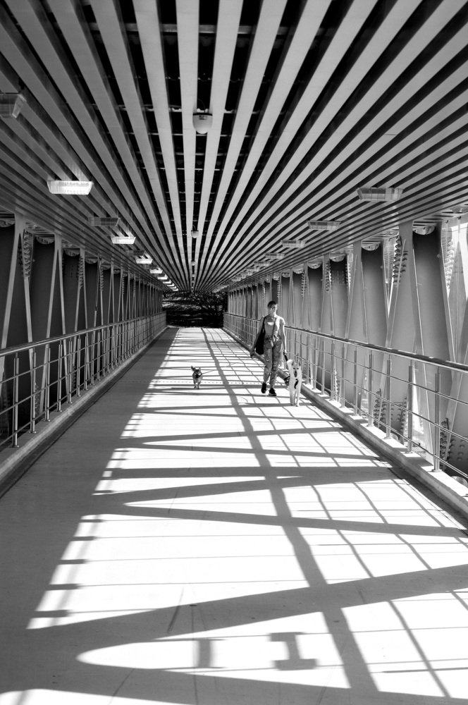 Photograph by Михаил Обертаев