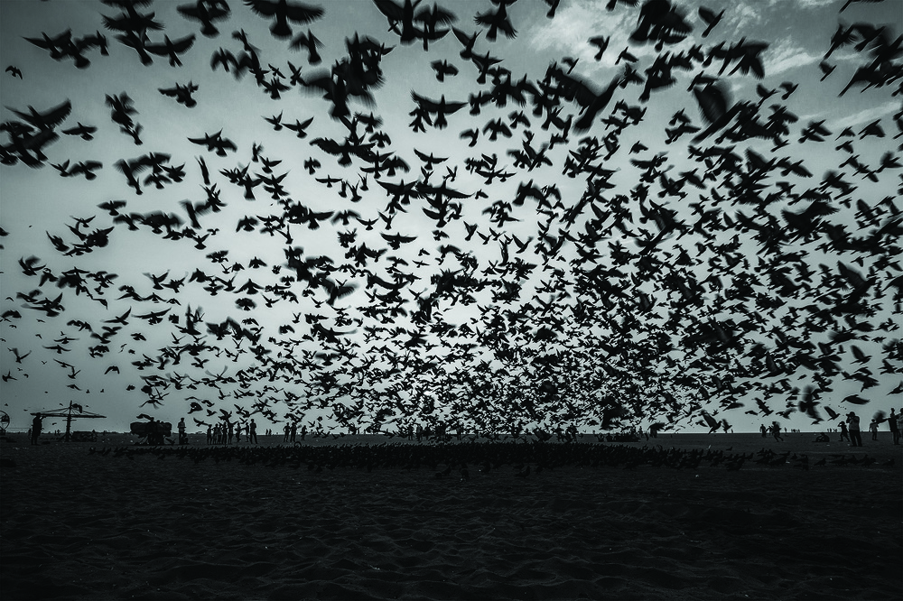 Фотография автора Sivachandru