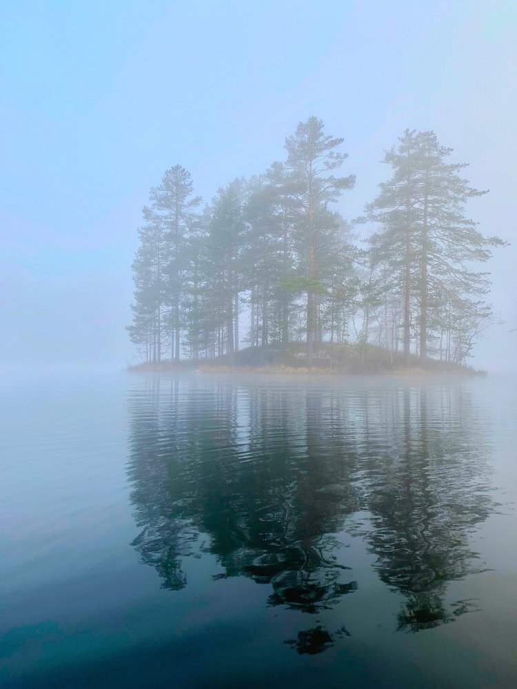 Photograph by Георгий Трофимов