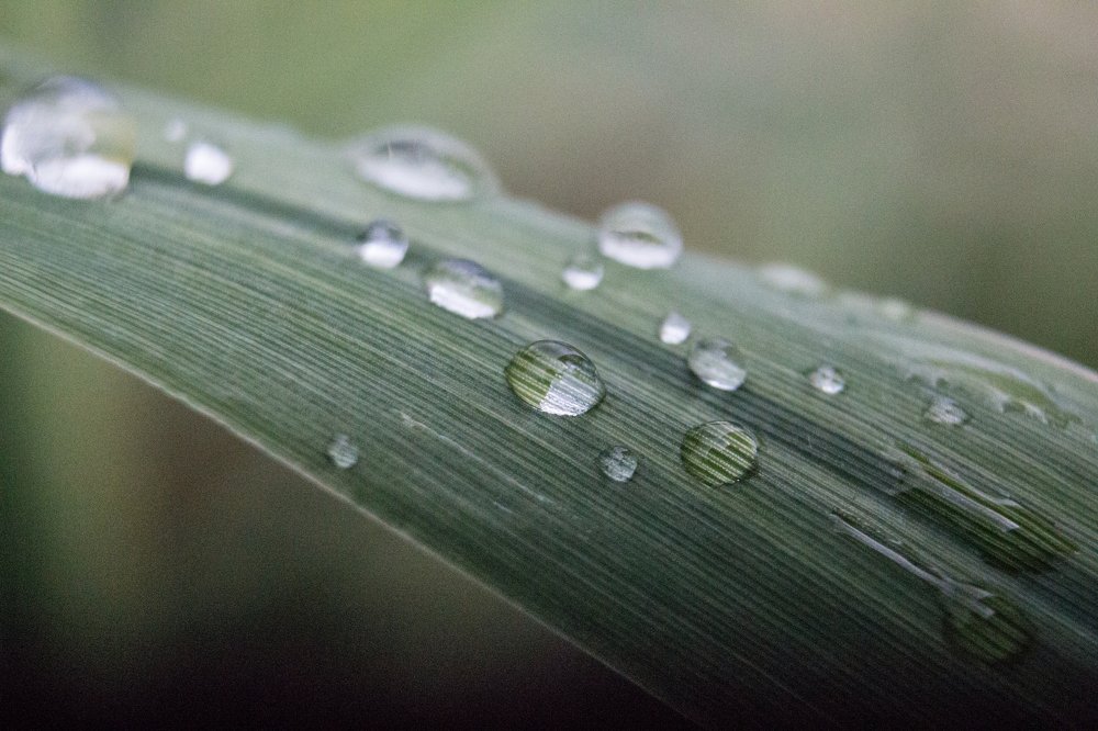 Photograph by Яна Кисловская