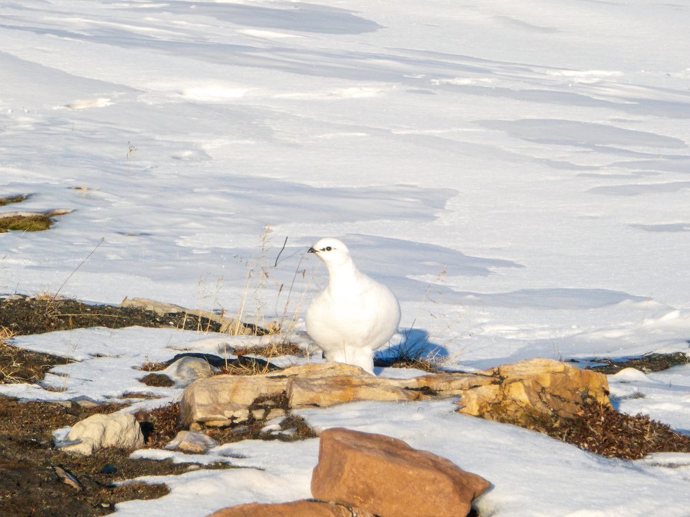Photograph by Maksym Kolenkov