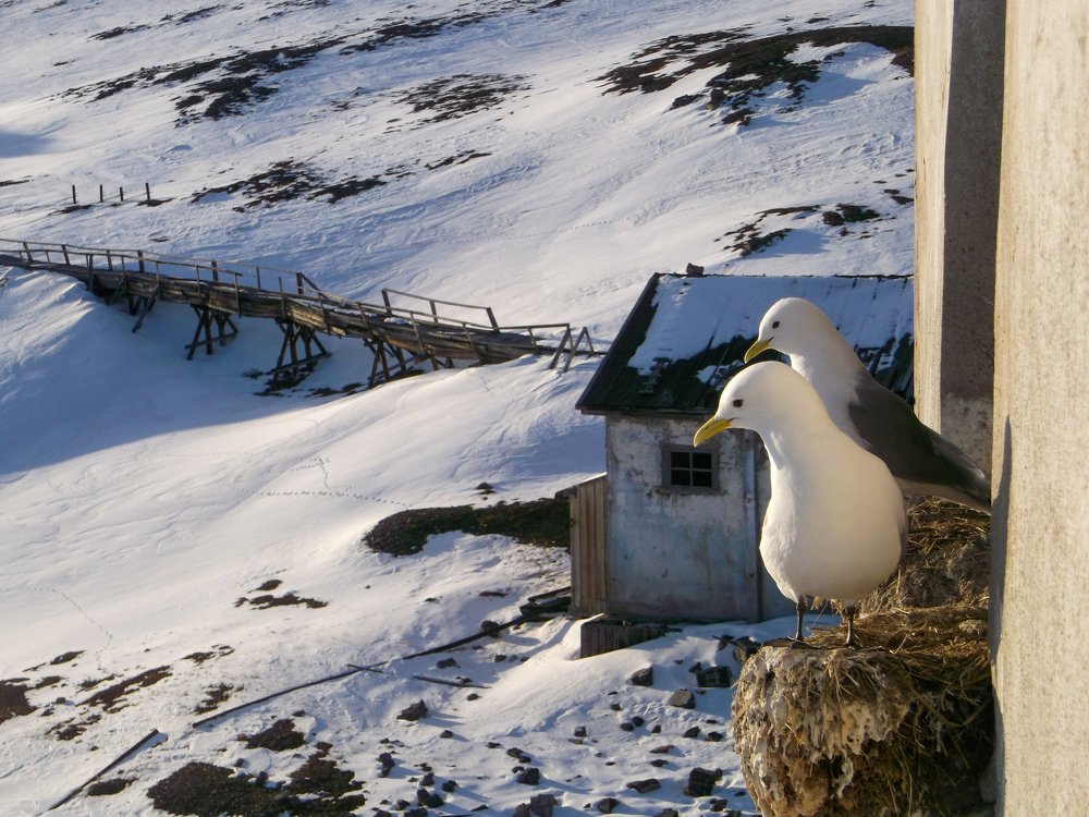 Photograph by Maksym Kolenkov