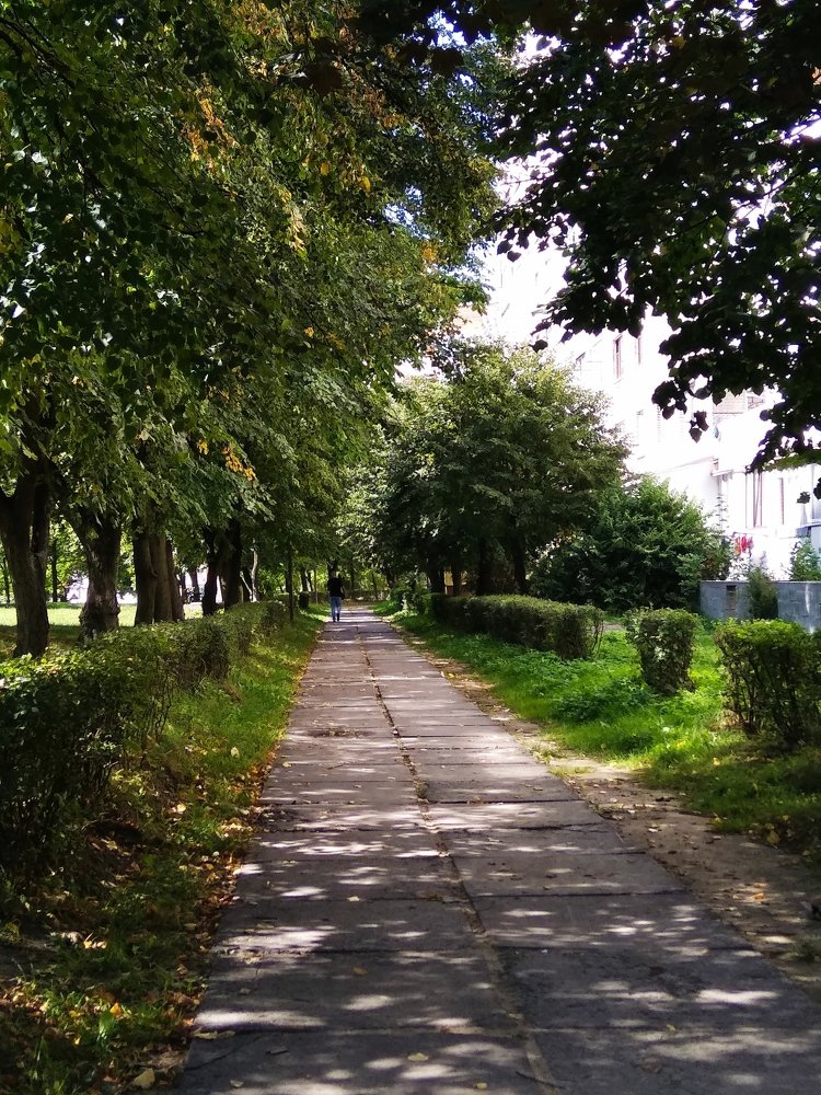 Photograph by Руслан