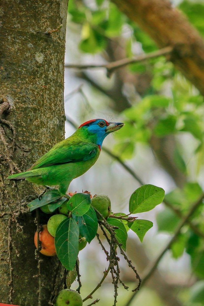 Photograph by Malay Ranjan Das