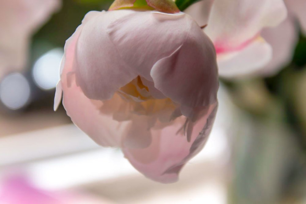 Photograph by Светлана Баринова