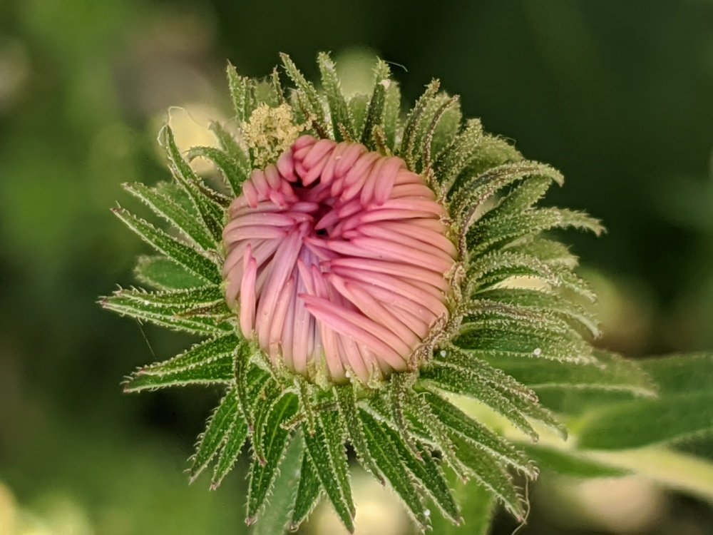 Photograph by Луиза Баширова