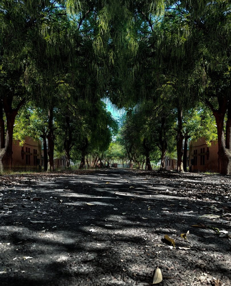 Photograph by bhim SINGLA