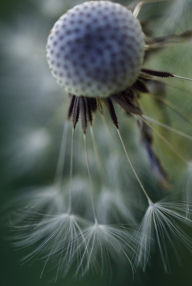 Photograph by Natasa Brkic