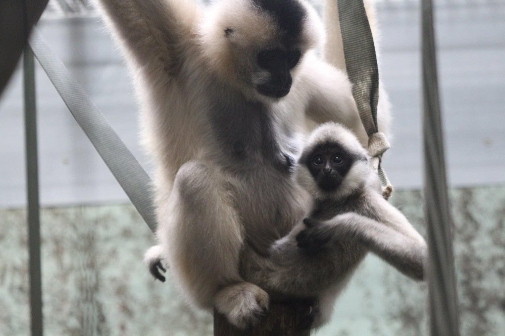 Photograph by Rachael Hudson