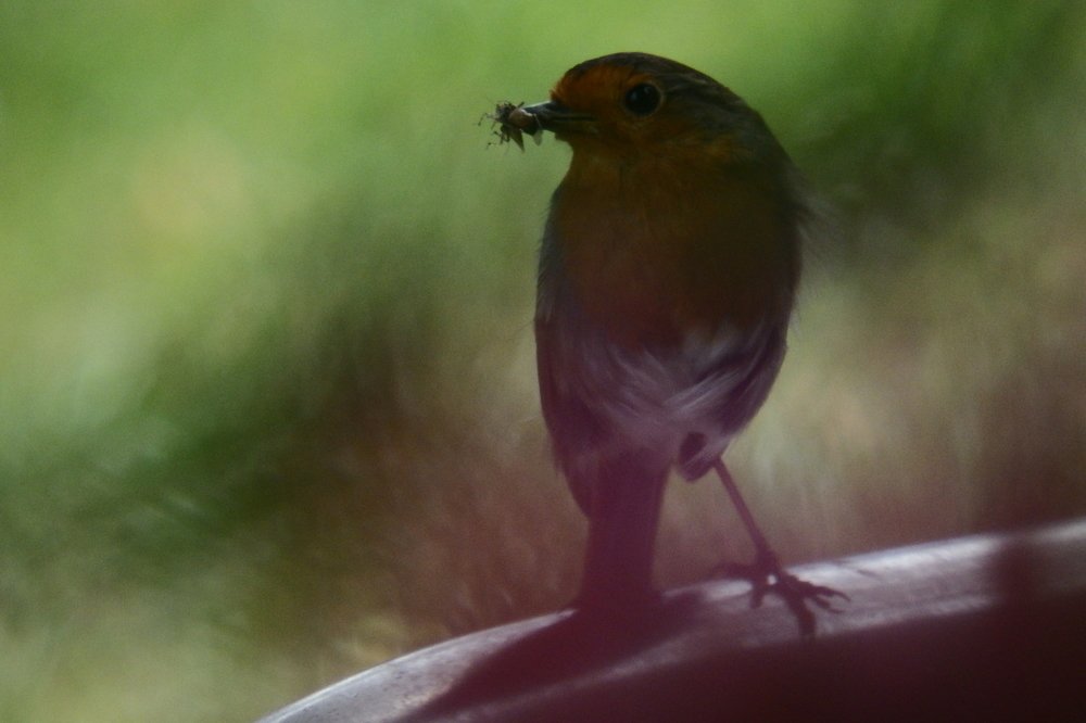 Photograph by Vitalii Kaznin