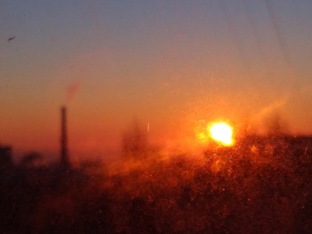 Photo #4922068