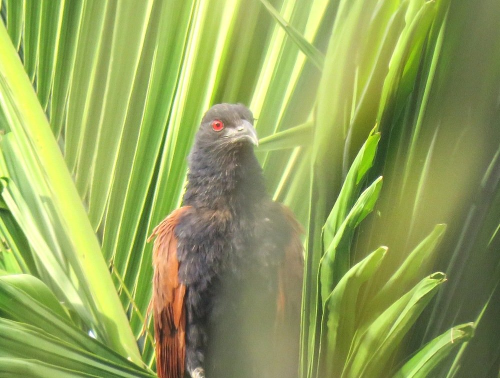 Photograph by suparna ghosh