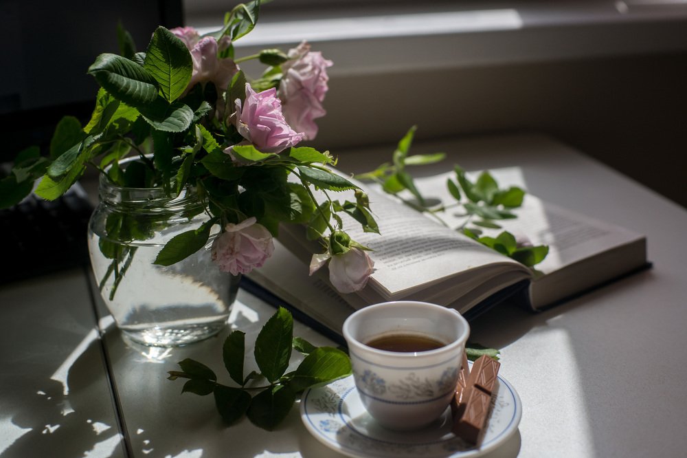 Photograph by Виктория Камышникова