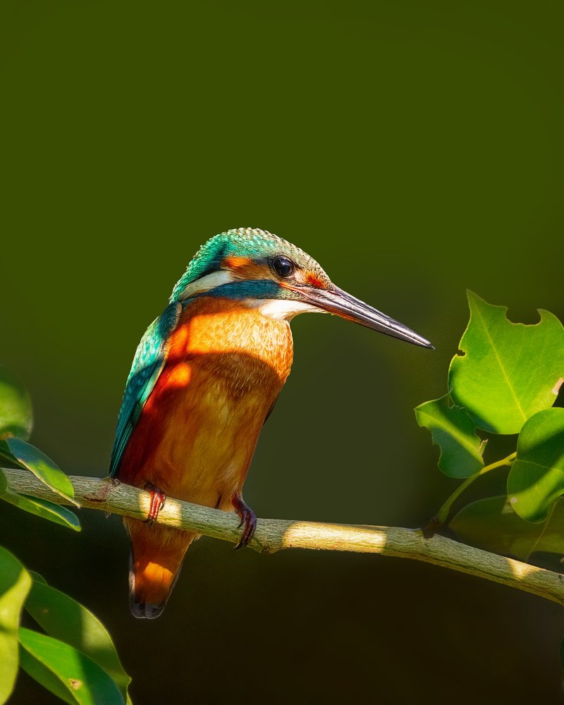 Photograph by Лея Лерер