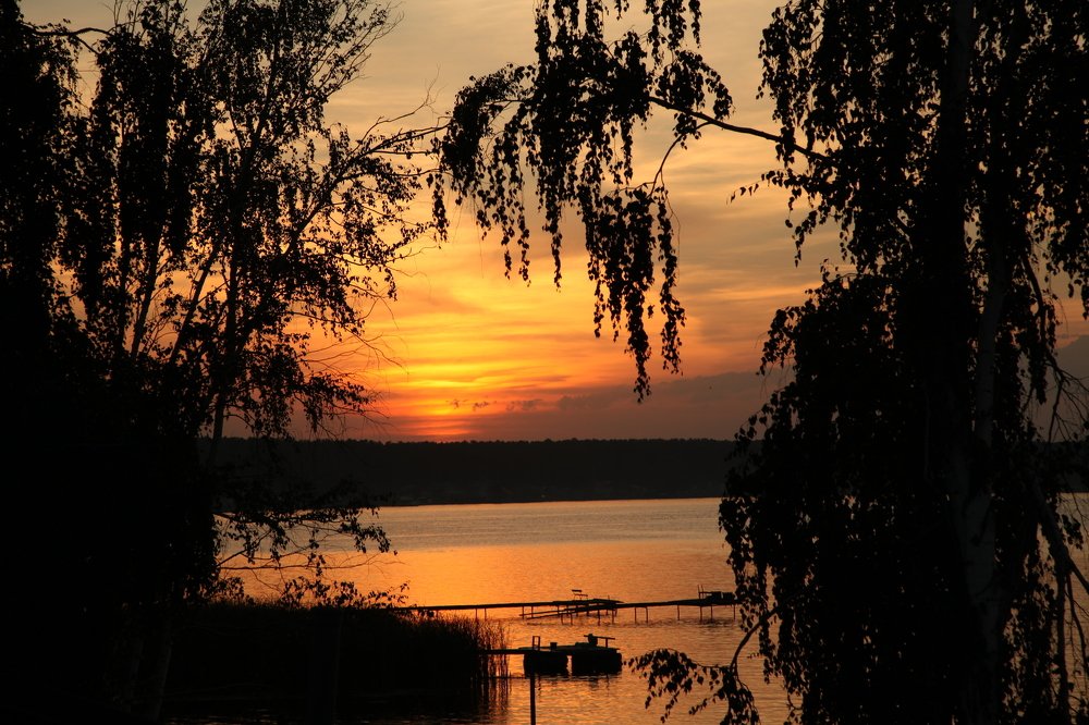 Photograph by 
