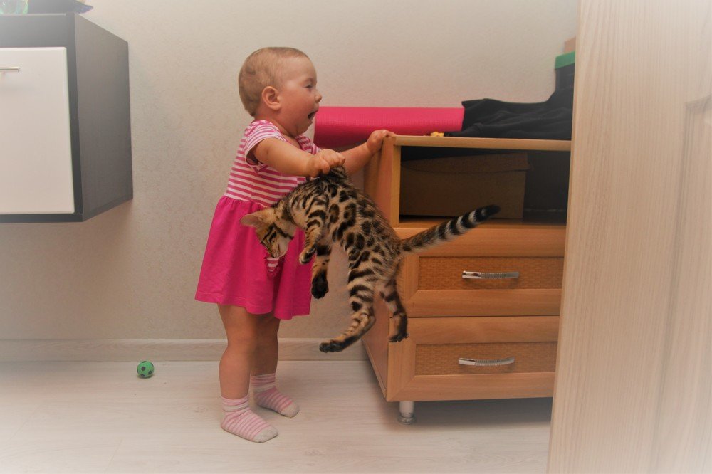 Фотография автора Валерий Каргин