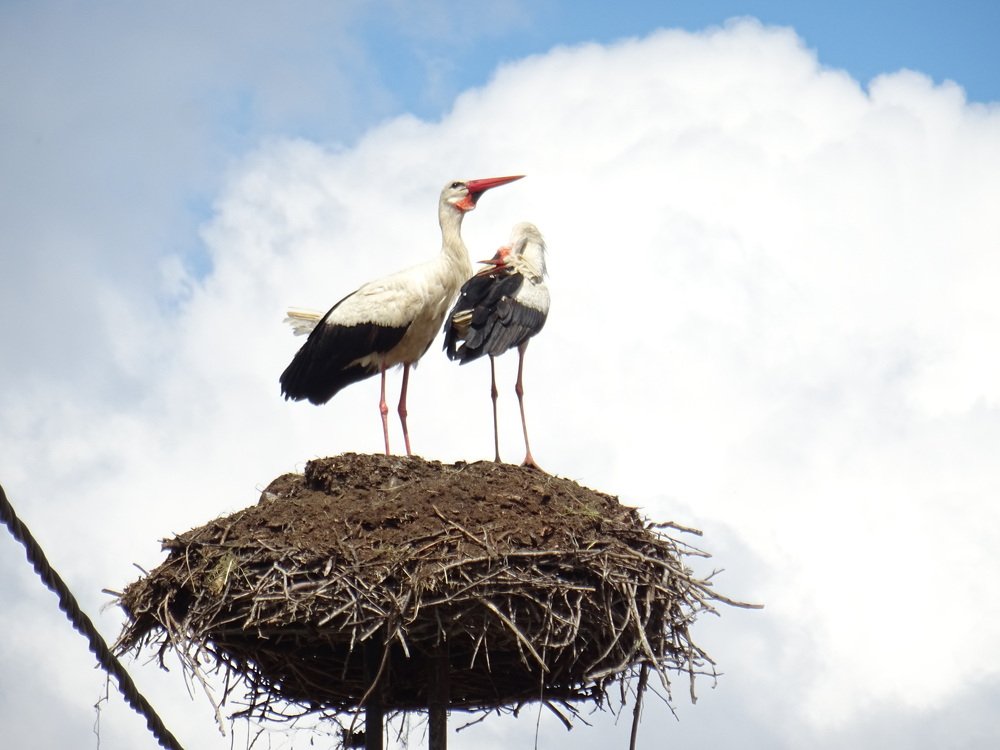 Фотография автора Валерий Каргин