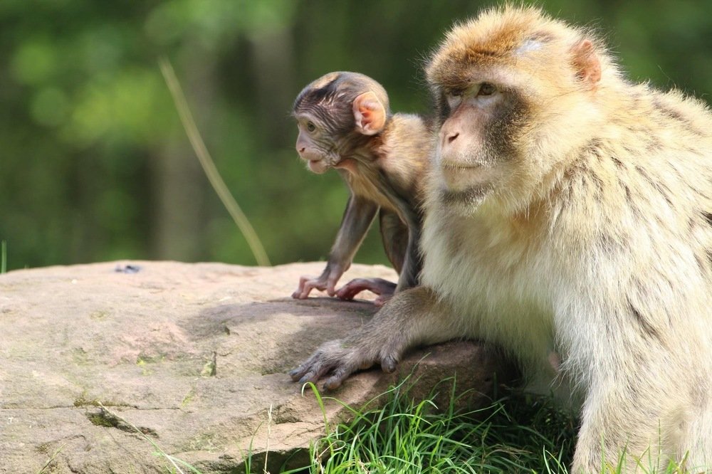 Photograph by Rachael Hudson