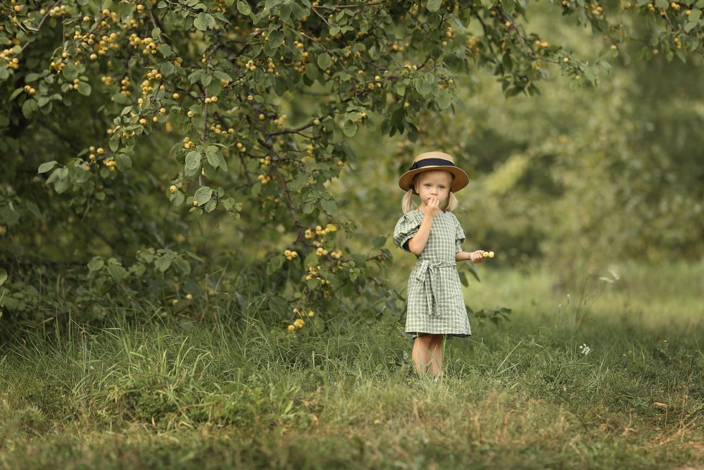 У дикой яблони
