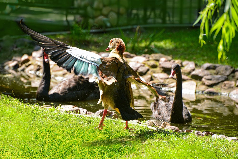 Photograph by Эдуард Шадров