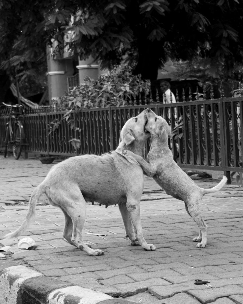 Photograph by Amit Singla