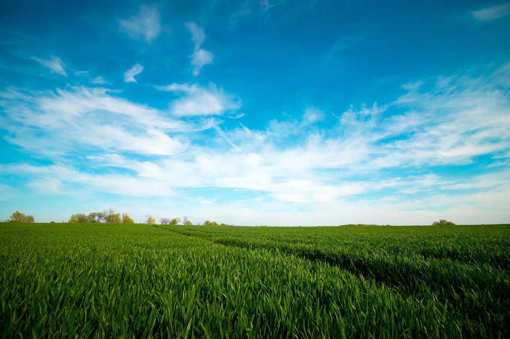 Photograph by Вячеслав Рудинский