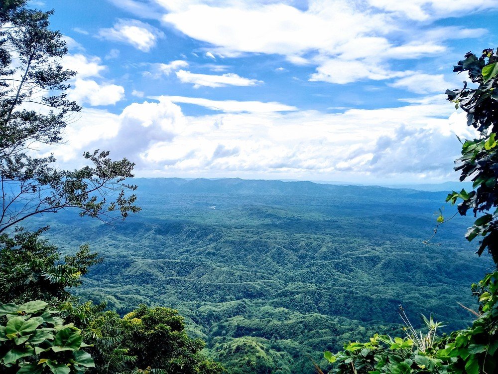 Фотография автора Darling Varma