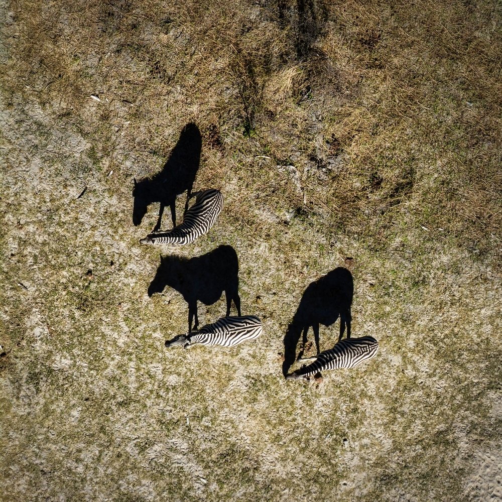 Photograph by Marcin Szymczak