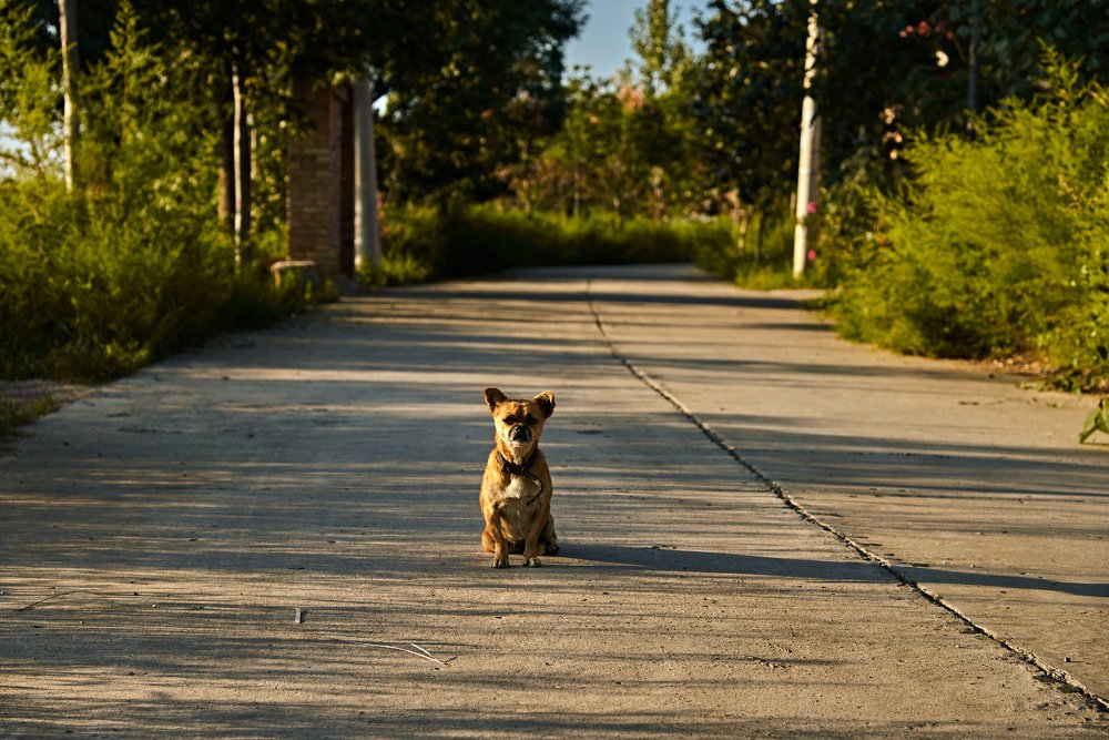 Photograph by Лиза Ананьева