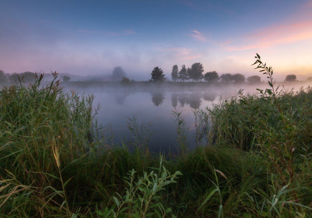 Тихо на пруду