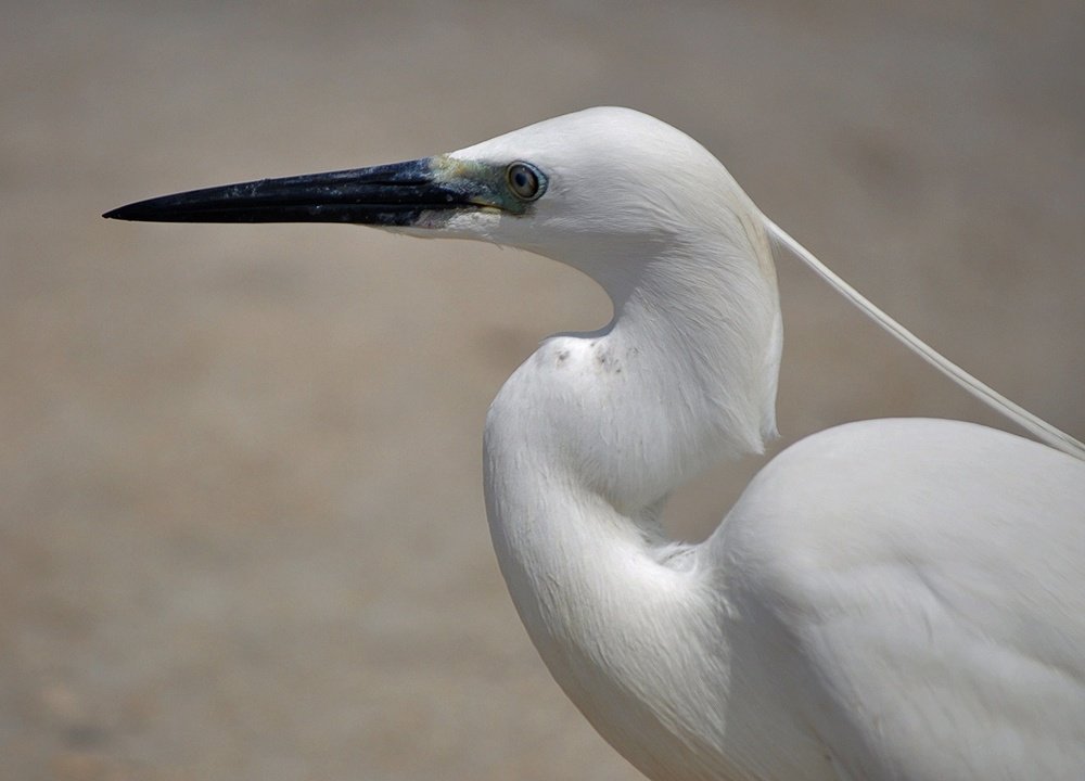 Photograph by Яков