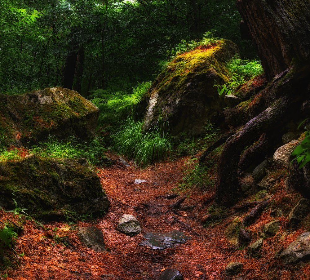 Photograph by Марина Кожевникова