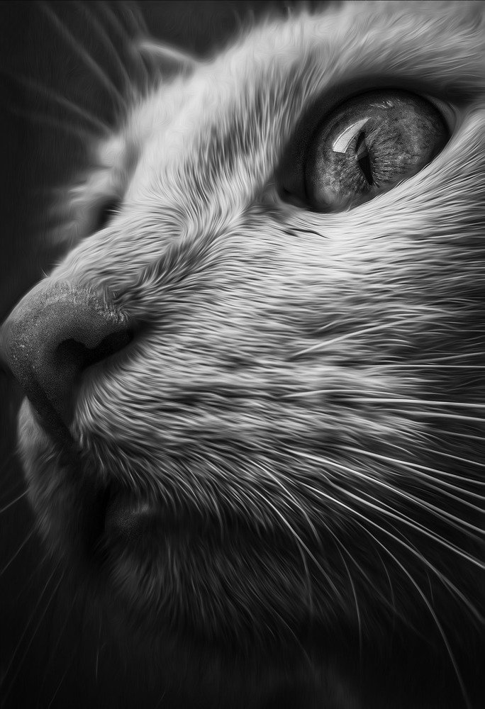 Photograph by Tarcsay Eszter