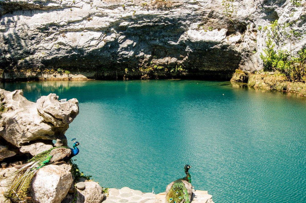 Photograph by Екатерина Бакулина