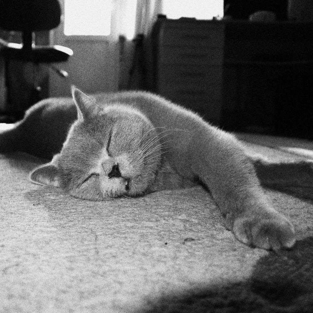 Photograph by София