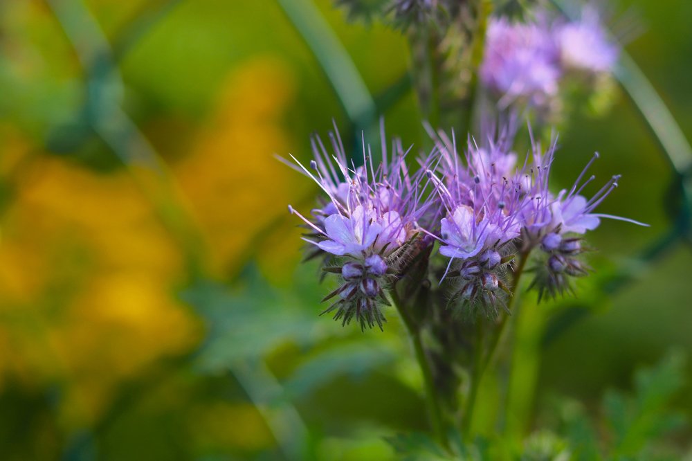 Photograph by Tatyana Semenova