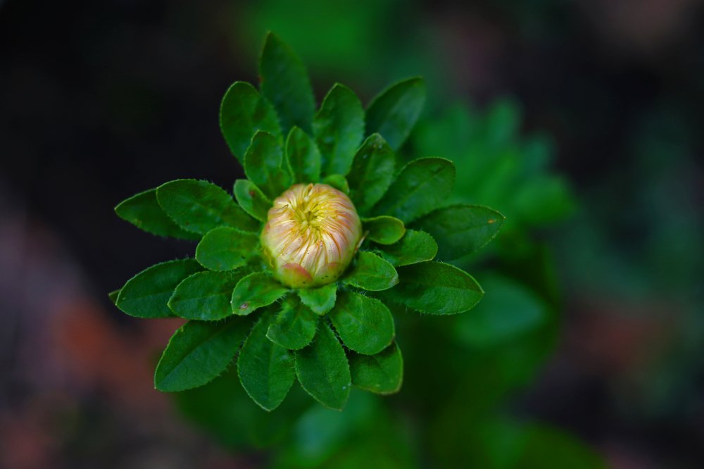 Photograph by Tatyana Semenova