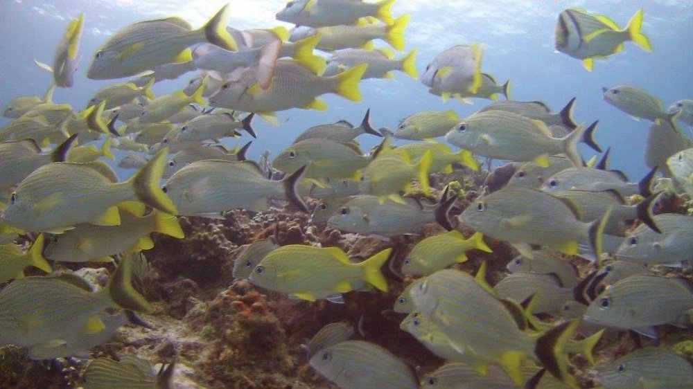 Photograph by Rachael Hudson